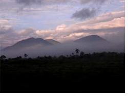 Over 100 birds in one of the six Biosphere Reserves in Cuba. 